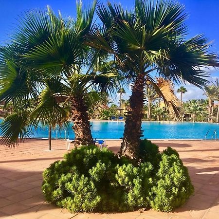 Fuerteventura Apartments Corralejo Bagian luar foto