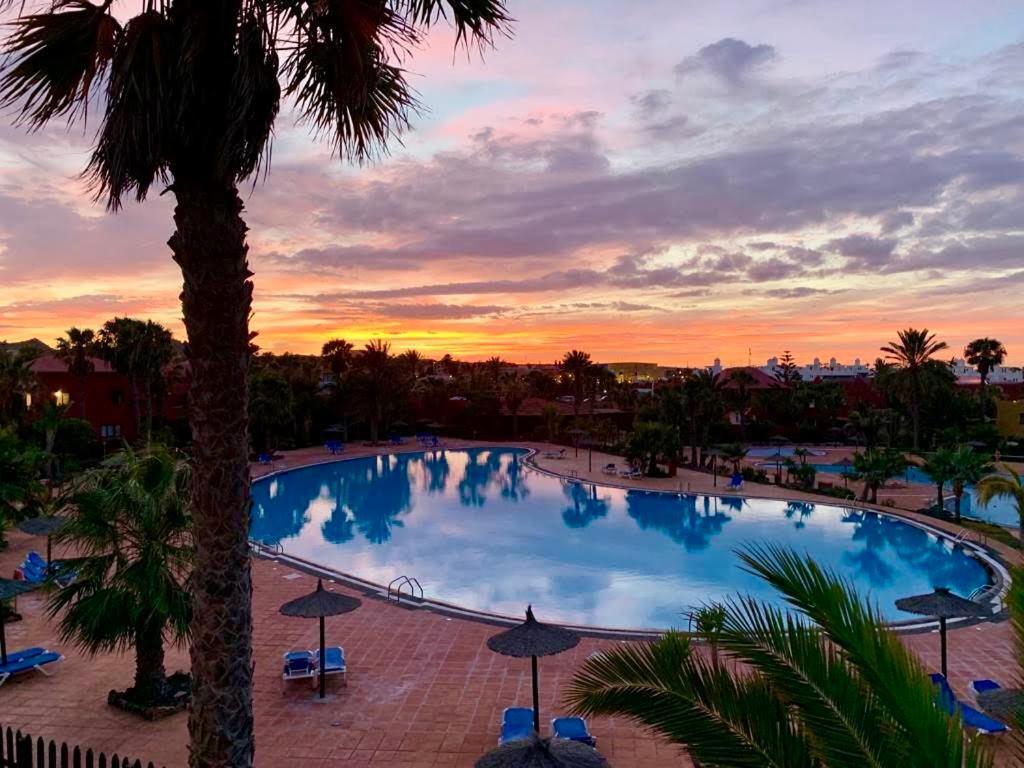 Fuerteventura Apartments Corralejo Bagian luar foto