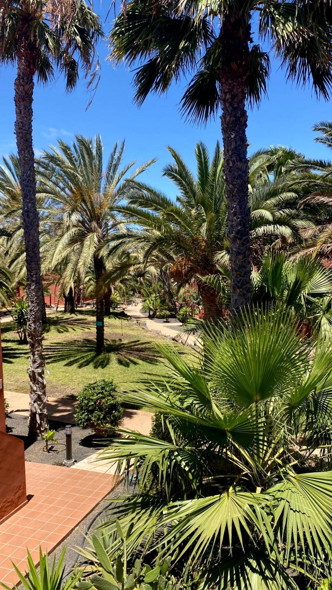 Fuerteventura Apartments Corralejo Bagian luar foto